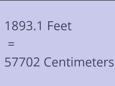 1893.1 FEET TO CM