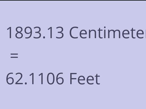 1893.13 CM TO FEET