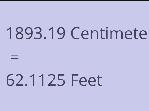 1893.19 CM TO FEET