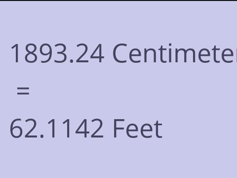 1893.24 CM TO FEET