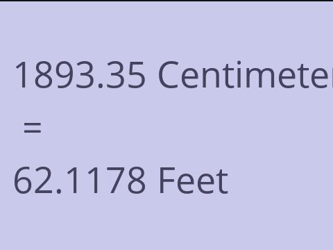 1893.35 CM TO FEET