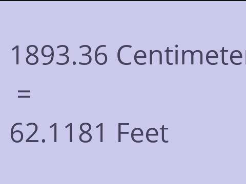 1893.36 CM TO FEET