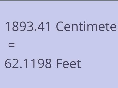 1893.41 CM TO FEET