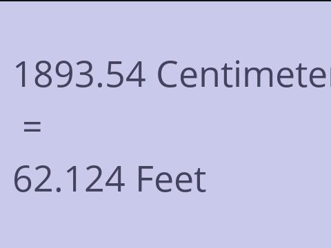 1893.54 CM TO FEET