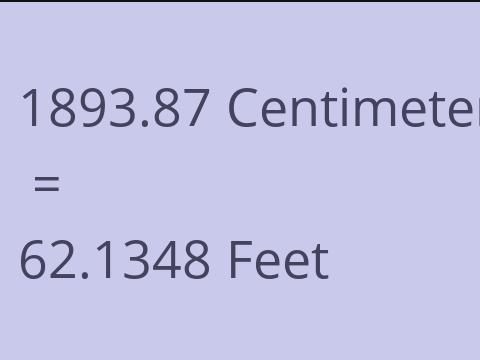 1893.87 CM TO FEET