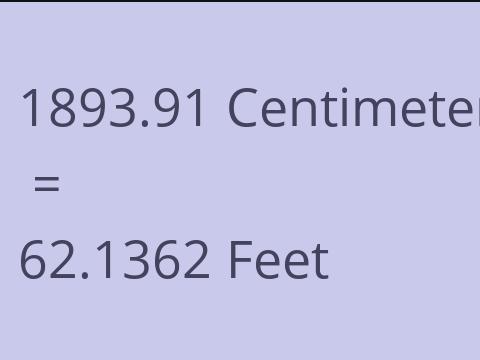 1893.91 CM TO FEET