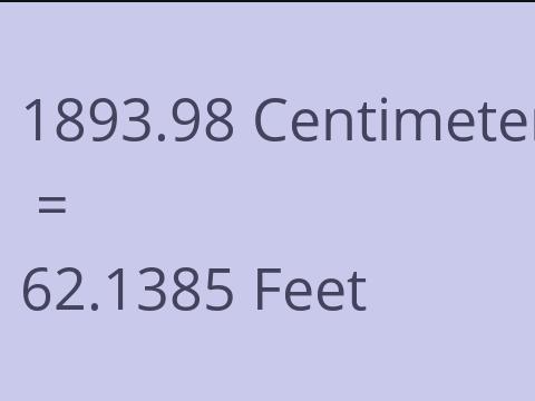 1893.98 CM TO FEET