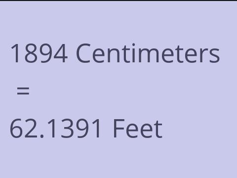 1894 CM TO FEET