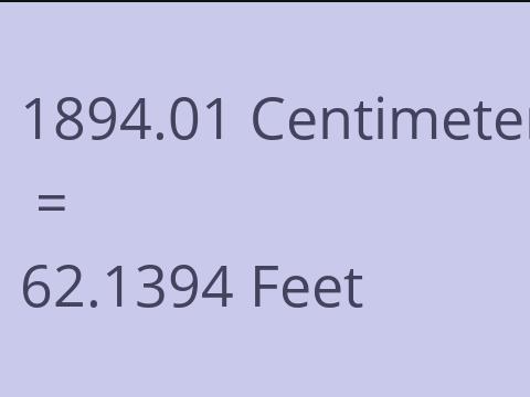 1894.01 CM TO FEET