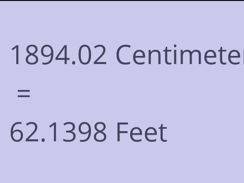 1894.02 CM TO FEET