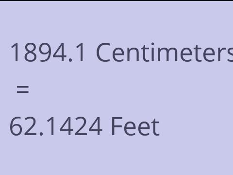 1894.1 CM TO FEET