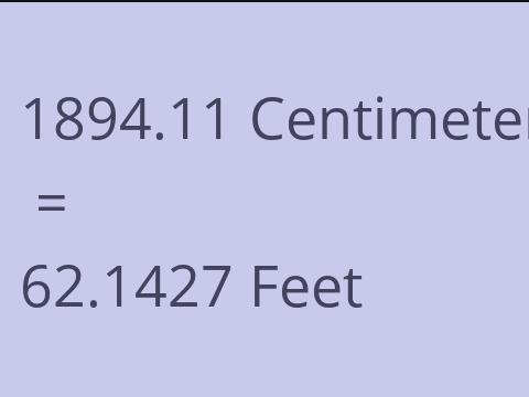 1894.11 CM TO FEET