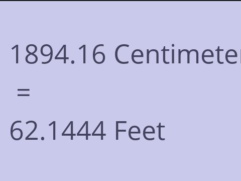 1894.16 CM TO FEET