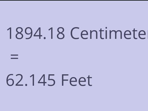 1894.18 CM TO FEET