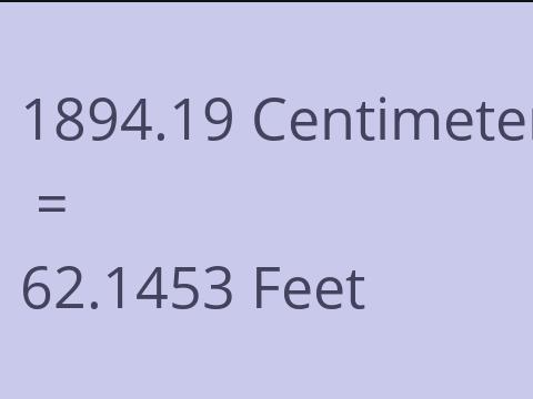 1894.19 CM TO FEET