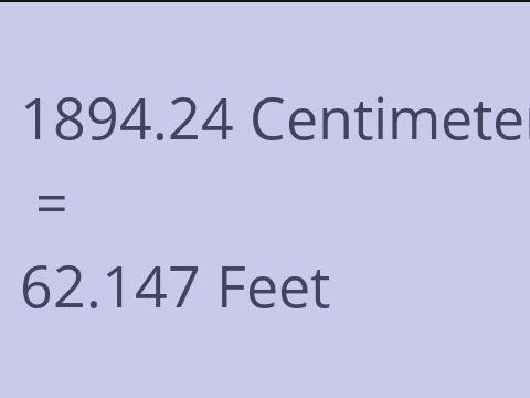 1894.24 CM TO FEET