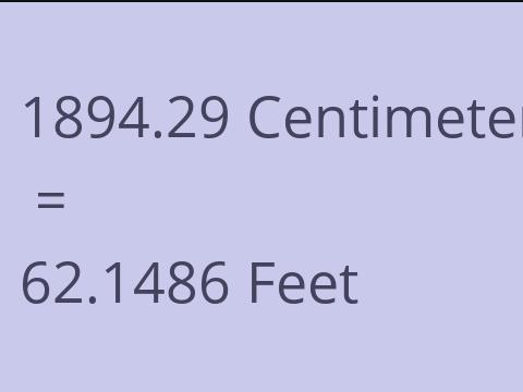 1894.29 CM TO FEET