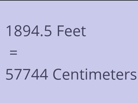 1894.5 FEET TO CM