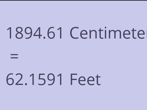 1894.61 CM TO FEET