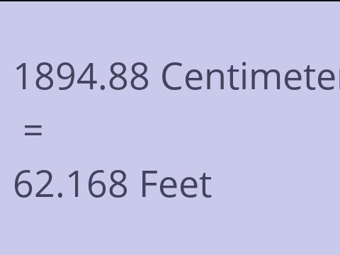 1894.88 CM TO FEET