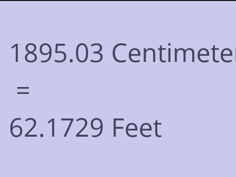 1895.03 CM TO FEET