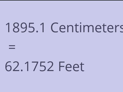 1895.1 CM TO FEET