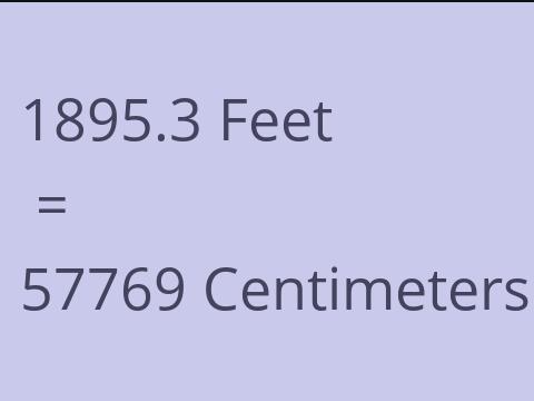 1895.3 FEET TO CM