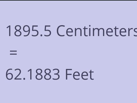 1895.5 CM TO FEET