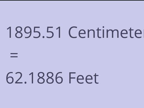 1895.51 CM TO FEET