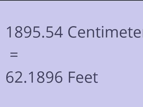 1895.54 CM TO FEET