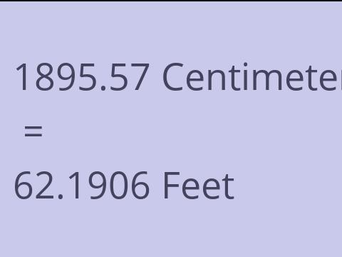 1895.57 CM TO FEET