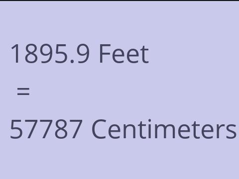 1895.9 FEET TO CM