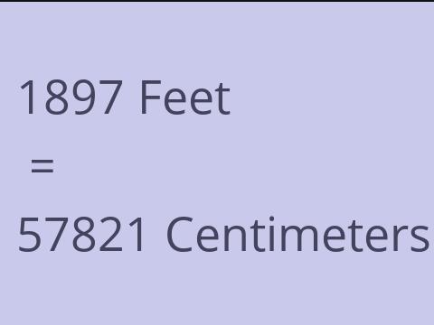 1897 FEET TO CM