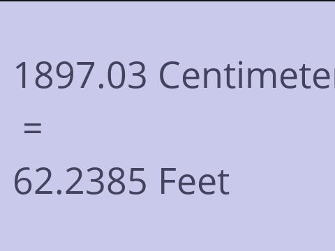 1897.03 CM TO FEET