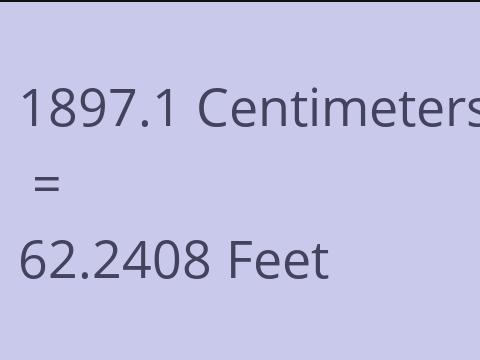 1897.1 CM TO FEET