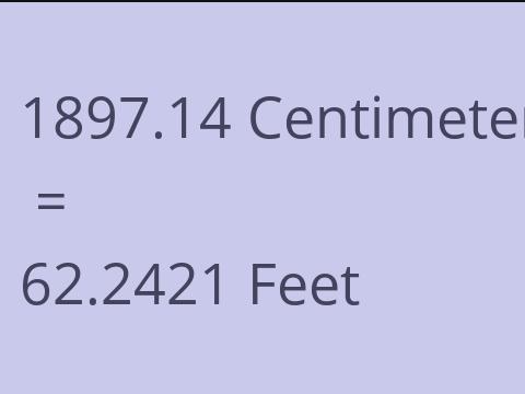 1897.14 CM TO FEET