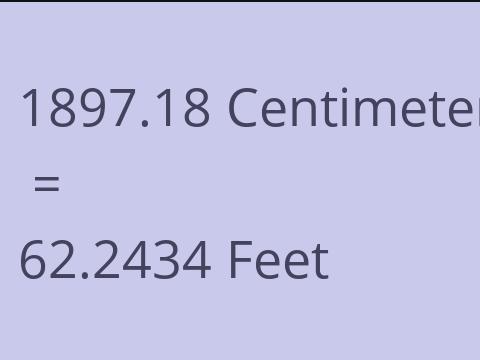 1897.18 CM TO FEET