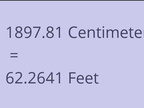 1897.81 CM TO FEET