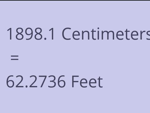 1898.1 CM TO FEET