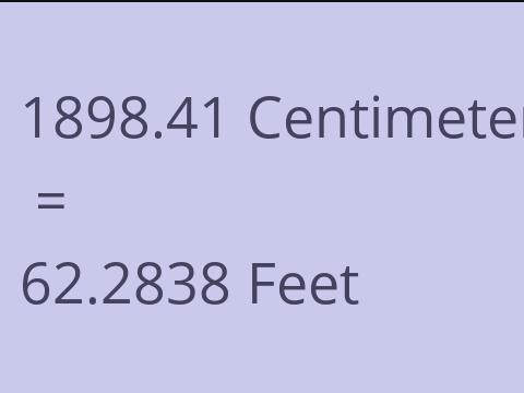 1898.41 CM TO FEET