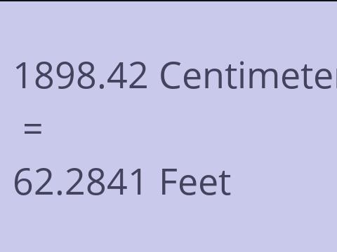 1898.42 CM TO FEET