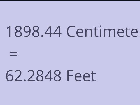 1898.44 CM TO FEET