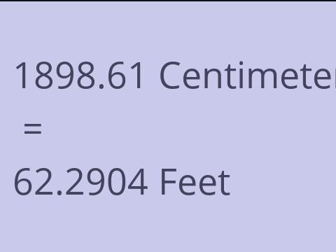 1898.61 CM TO FEET