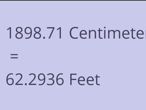 1898.71 CM TO FEET