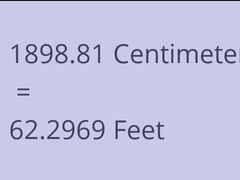 1898.81 CM TO FEET