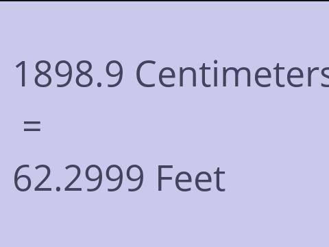 1898.9 CM TO FEET