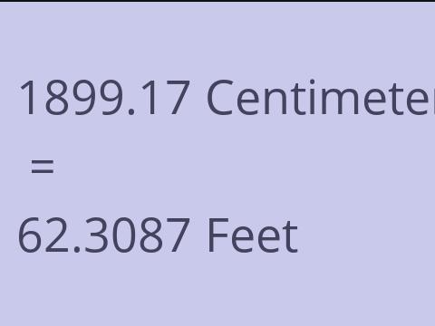 1899.17 CM TO FEET