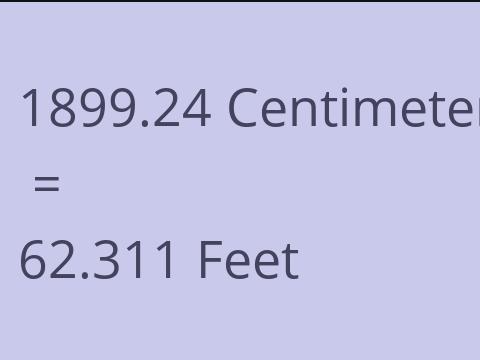 1899.24 CM TO FEET