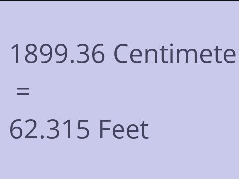 1899.36 CM TO FEET