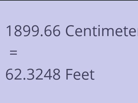 1899.66 CM TO FEET